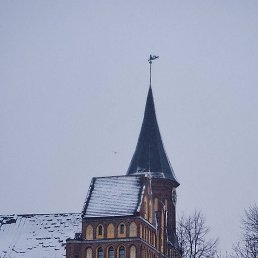 ���� ��������, �����-���������, 34 ���� - ��������� 6 ������ 2026