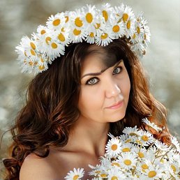 ���� �����, ������, 34 ���� - ��������� 24 ������� 2023