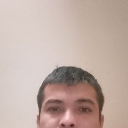 , 29, 