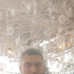 �������, ������, 49 ���