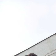 �����, 18 ���, ���������