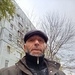 �������, �������, 40 ���