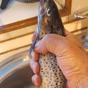���� ����, �����-��������� - ��������� 18 ������ 2025 � ������ ���� ����������