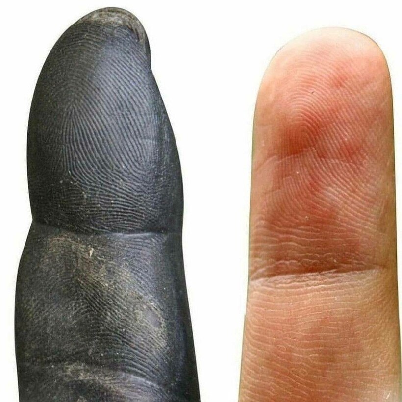       .       ,   ...