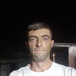 , 41, 