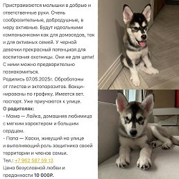 ���� ������, ���������, 57 ��� - ��������� 24 ������� 2025