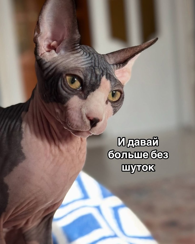   - 10  2025  21:17 - 5