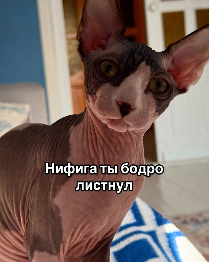   - 10  2025  21:17 - 2