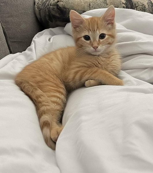 :) ������ ���, ����� ���. � ��� ����������?