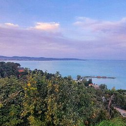 Michigan, ����, 56 ���