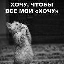 ���� �����, �����������, 53 ���� - ��������� 30 ������� 2024 � ������ ���� ����������