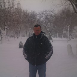 ������, 51 ���, ���������