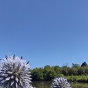 ���� ����, ���������� �����, 48 ��� - ��������� 15 ����� 2026 � ������ ���� ����������