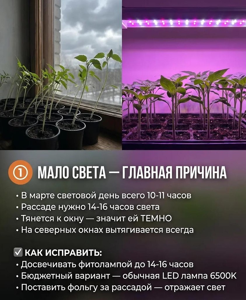 �����������������?�5����������������.�Ӡ���x������������x������������������?�������y���������x����:���������ࠠ��������10-11������,��y���14-16��������������LD��������������������y����������頠�������������������28�C�����������������x����������y��y���18-20�C���,�14 - 2