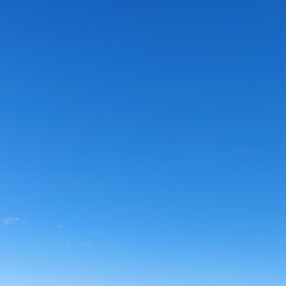 ���� �����, ����������� - ��������� 8 ������� 2026