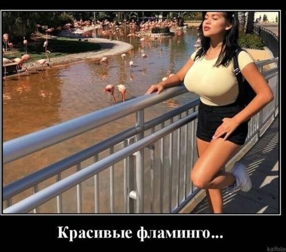  !)