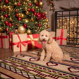 ���� ������, ������, 53 ���� - ��������� 23 ������� 2024