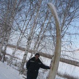 ���� �������, ����, 60 ��� - ��������� 14 ������� 2026