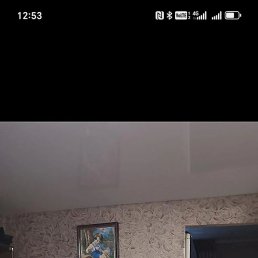 �����, �������, 41 ���