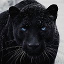 ���� ��������, ������������, 53 ���� - ��������� 2 ������ 2024 � ������ ���� ����������
