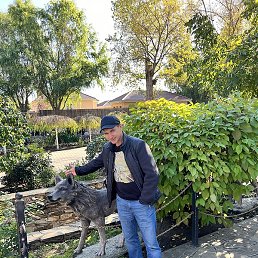 ������, ������-��-����, 44 ����