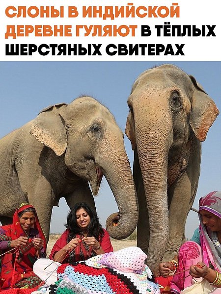 � ��������� ������� ����� ������ � ����� ��������� ��������, ������� ��� ��� ������� ������� ������. ...