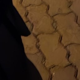 �������, ������, 22 ����