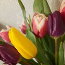 ���� �����, ���������, 41 ��� - ��������� 27 ������� 2023 � ������ ���� ����������