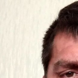 ������, ������, 48 ���