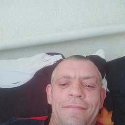 , 41, 