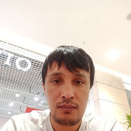 ����, ������, 38 ���