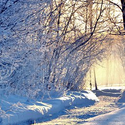 �����, �����-���������, 55 ���