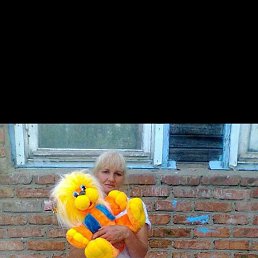 , 61, 