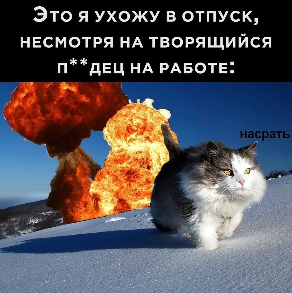   - 8  2025  15:27