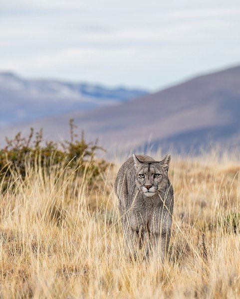 ���������� ���� � ����� ����� �������� - 3