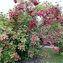 ���� ���������, �����-���������, 69 ��� - ��������� 26 ������� 2025