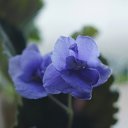 ���� ������, ���������, 69 ��� - ��������� 17 ������� 2025 � ������ ���� ����������