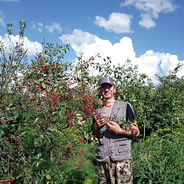 ��������, 40 ���, ���