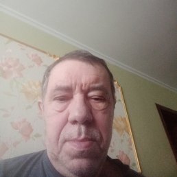 , 65, 