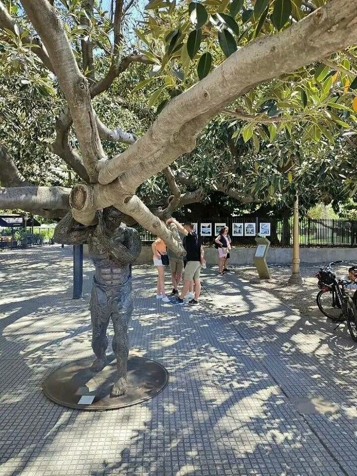   .  -    ,      ...