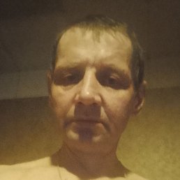 �����, �������, 46 ���