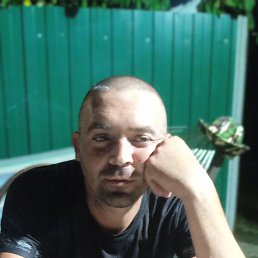 ���������, 40 ���, �������