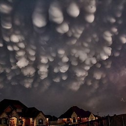 �������, �����������, 37 ���