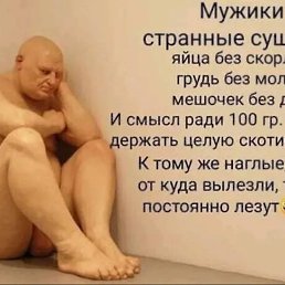 ���� ����, ���������, 49 ��� - ��������� 8 ������� 2024