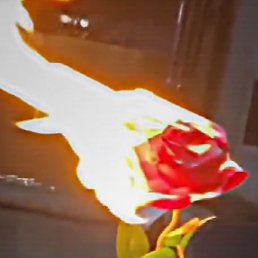 �����, ������-��-����, 25 ���