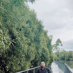 , 29, 
