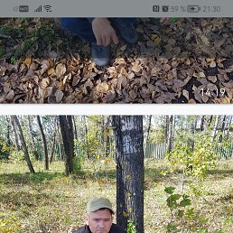 ����, 38 ���, ����