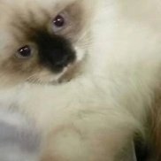 �����, 27 ���, �����������-��-�����