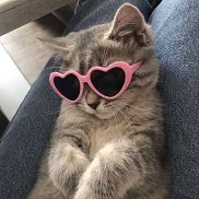 ��������, 20 ���, ��������