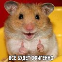 ���� ������, ��������, 54 ���� - ��������� 12 ������� 2024 � ������ ������ ��������